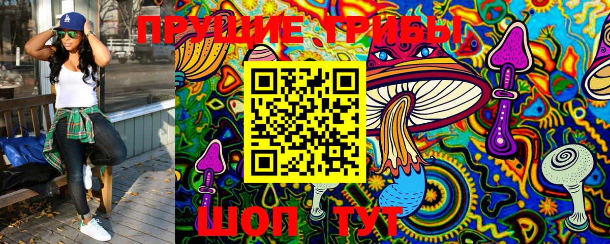 Псилоцибиновые грибы Cubensis Губкинский