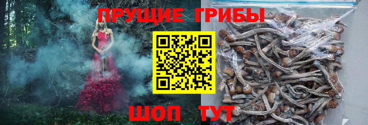 Псилоцибиновые грибы Psilocybine cubensis  где можно купить   Вход с VPN  Губкинский  Галлюциногенные грибы мухоморы 